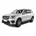 GL X166 NTG 4.5 (2013-2015)